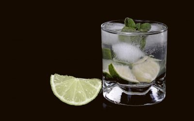 Gin & Tonic Tasting